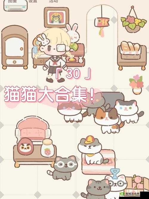 遇见你的喵喵：猫咪及玩家改名方法分享——让你的小宠更独特