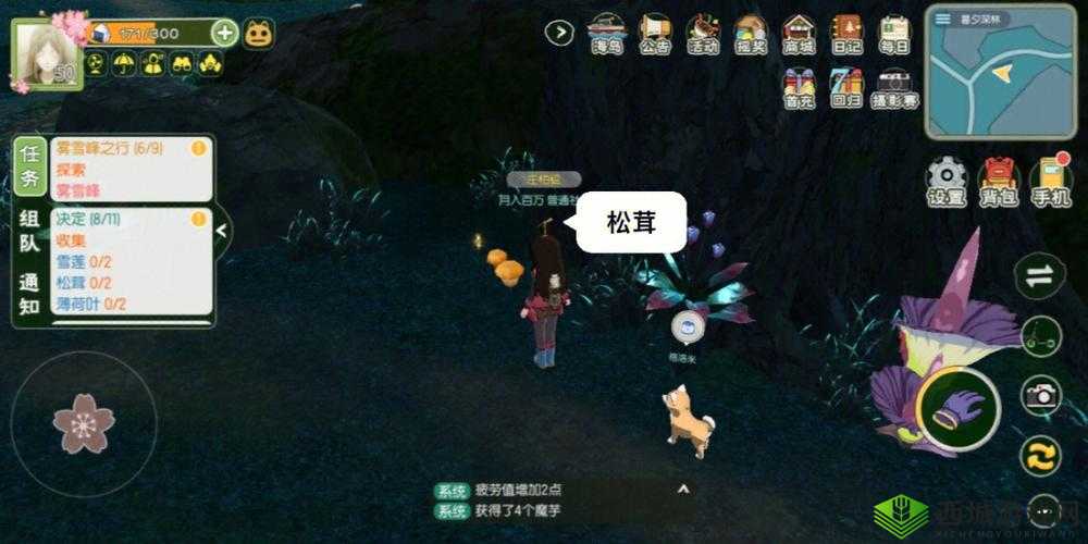 小森生活：探索松茸与雪莲的神秘踪迹