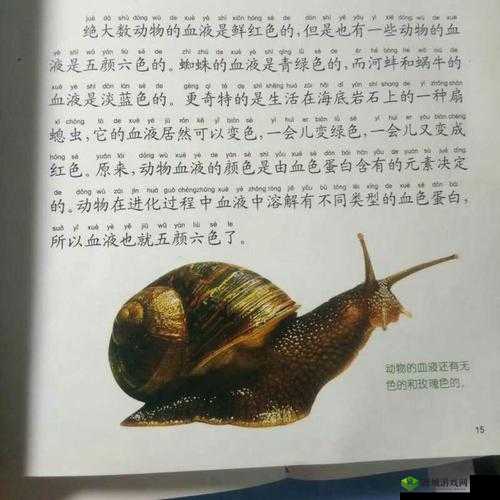 《蜗牛奇遇记：幻塔蜗牛分布与寻找指南》