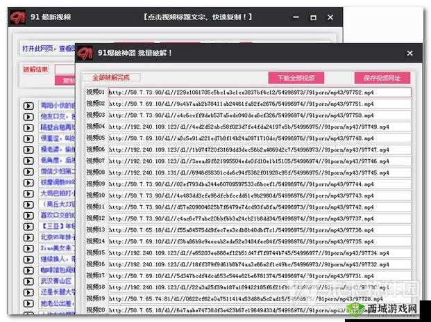 91破解版安装：需谨慎使用避免侵权
