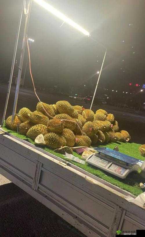 茄子丝瓜草莓香草榴莲大全：美味果蔬香草集合