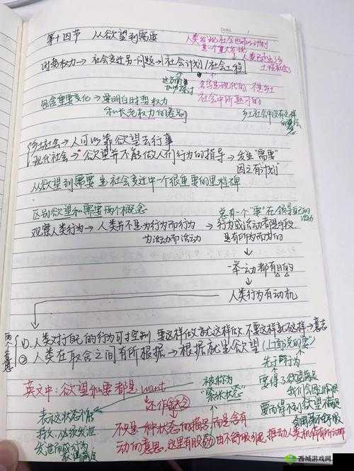 从拒绝到接受：一段心路的转变历程