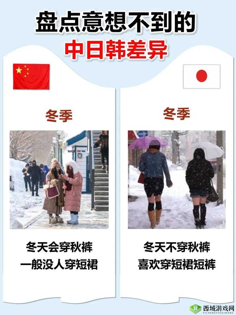 日本欧洲美国中国韩国产的特色与差异