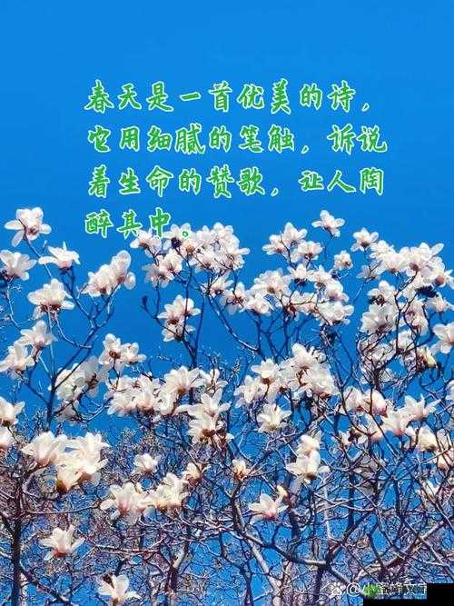 老王头的春天林初晴最火的一句：春天来了万物复苏