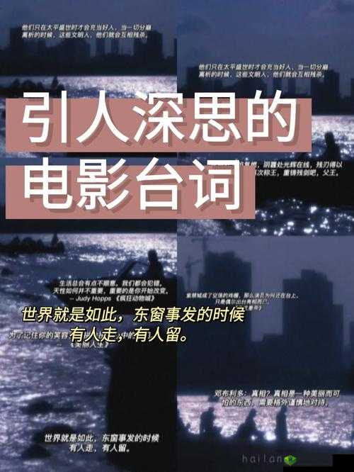 你把我弄完了还在那擦台词——剧情引人深思