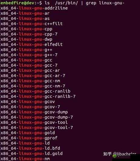 52gccnm：独特代码的神秘之旅