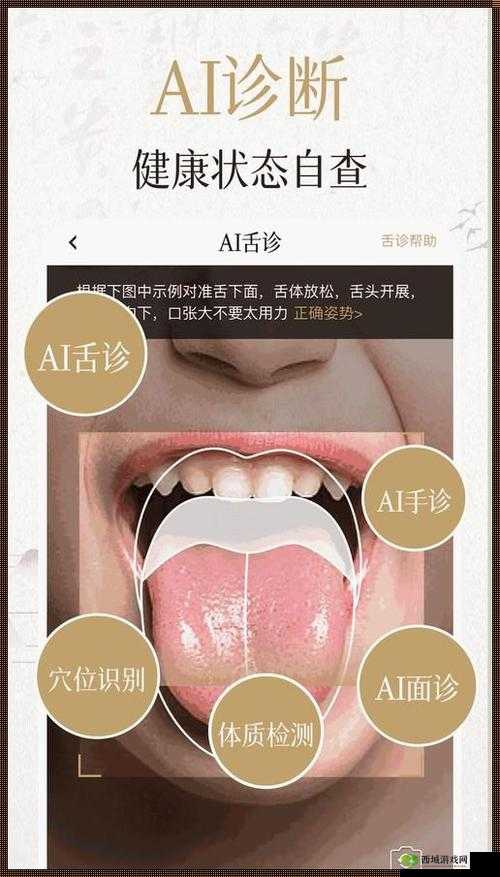 丰年经继拇中文 2 的功能介绍电影：详细解析