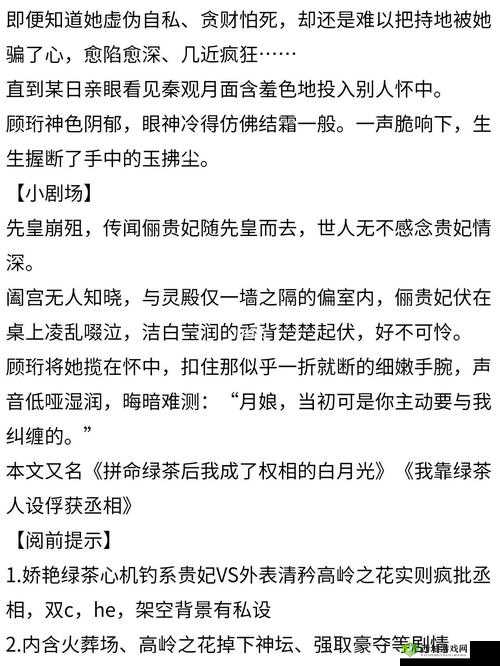 清冷丞相的爆炒日常：丞相的别样日常故事