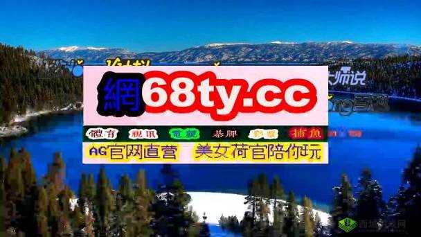 国产 Max3232 的功能与应用