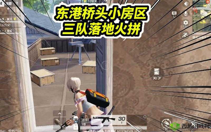 荒野行动实战攻略，一次淘汰五队人的堵桥技巧及其资源管理重要性与策略解析