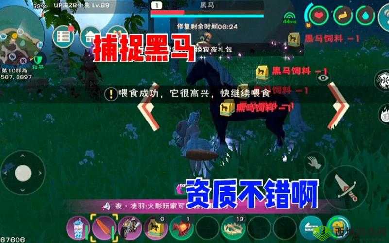 探索创造与魔法世界的奇幻之旅，揭秘捕捉黑马的艺术与技巧