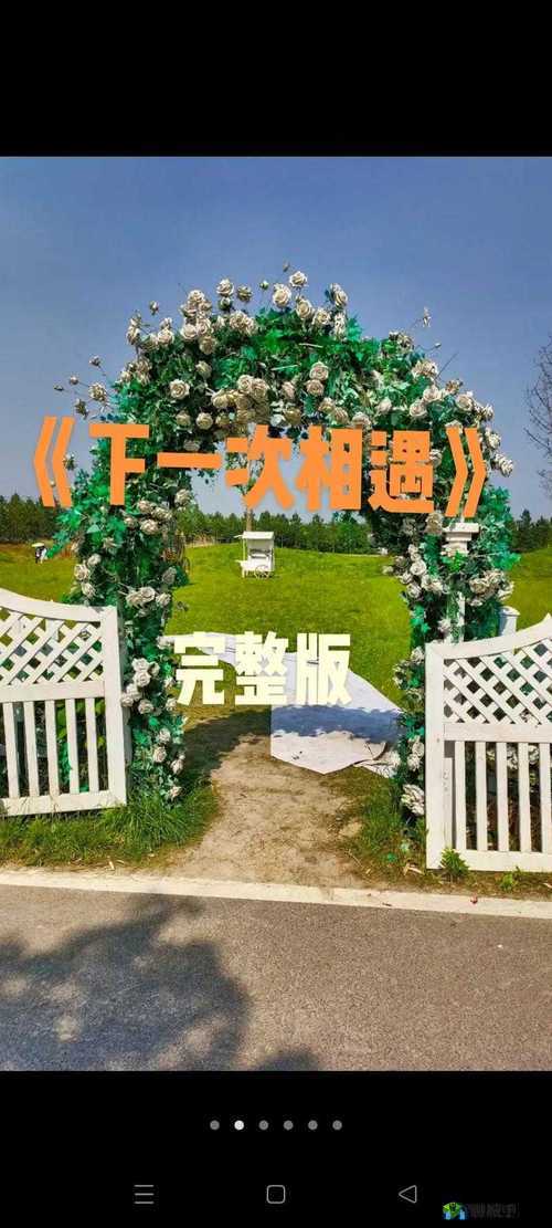 天天想你今夜无人入眠杨光：爱是一种难以言说的力量
