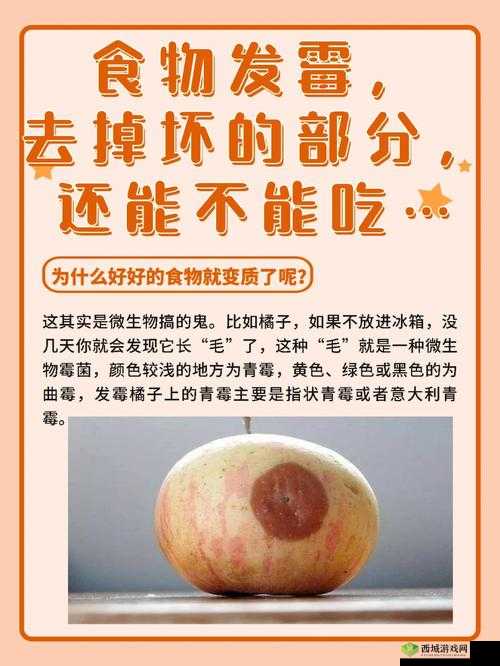 小东西好几天没弄了还能吃吗：探寻食物变质的奥秘