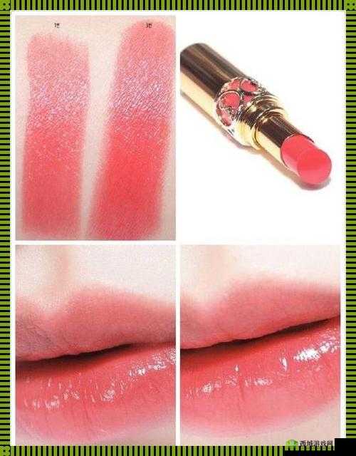YSL 樱花水蜜桃 ：开启甜蜜芬芳的美妆之旅