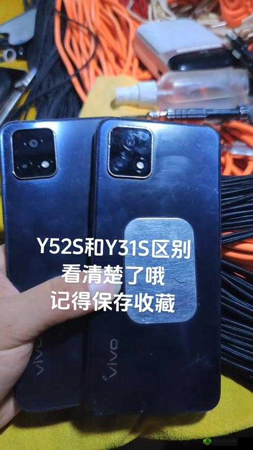 一级成色好的 y31s 标准版评测：收录超多定制视频亮点呈现