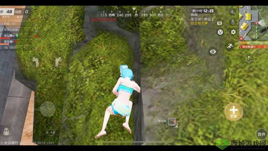 荒野行动必胜攻略，揭秘神操作与资源管理在获胜中的核心重要性