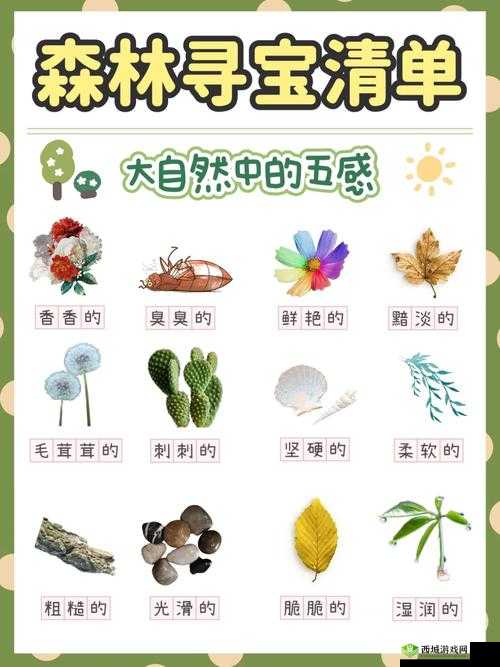 边境之旅萤火虫森林松果位置全面解析与寻宝指南