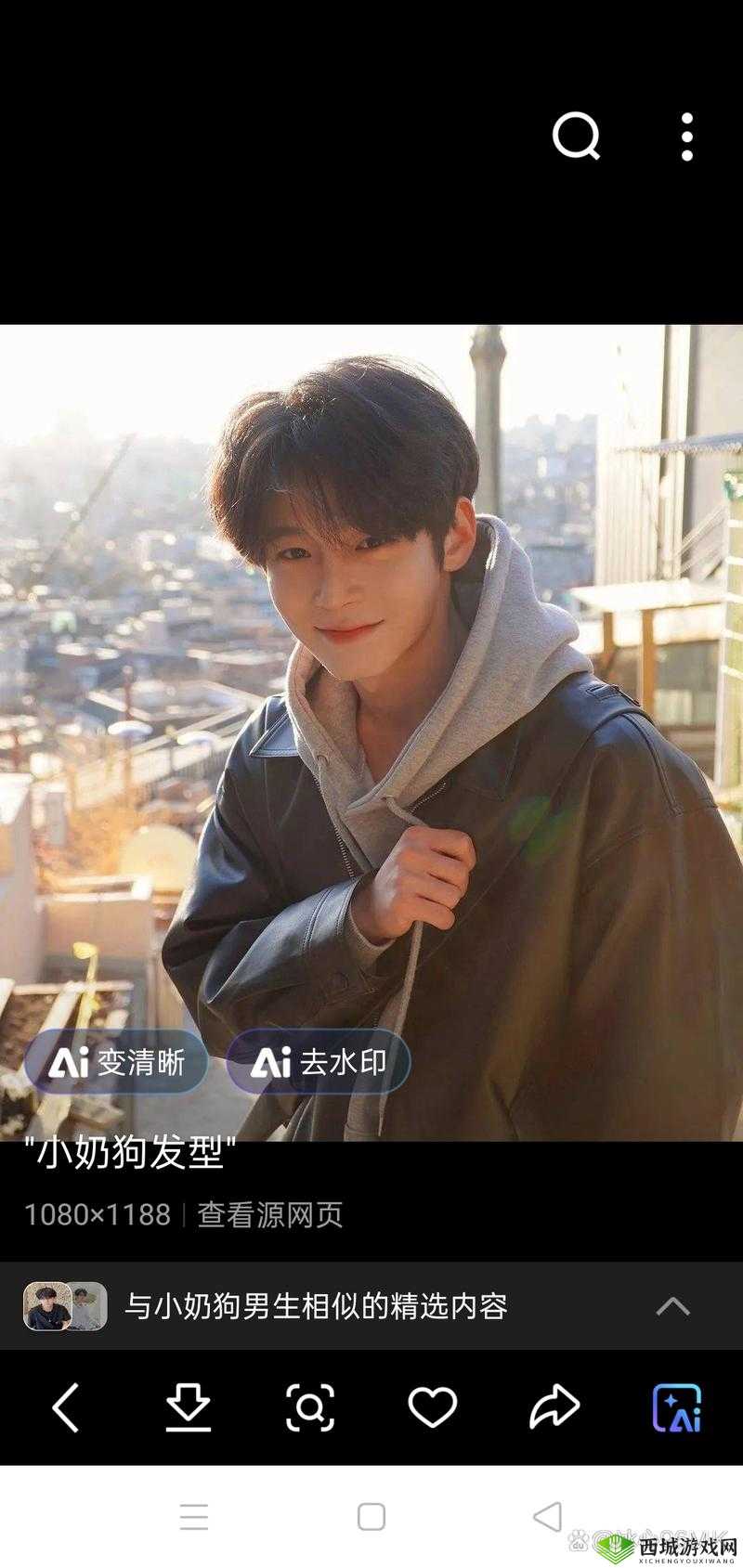 小奶狗 1V2：两只大狼狗为何不敌一只小奶狗