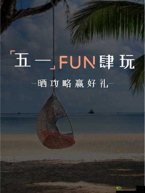 51fun 怎么打开：探索其正确的开启方式与步骤