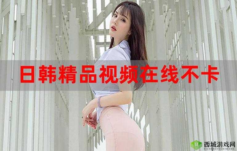 日韩产品和欧美产品的区别视频更新频繁：探究背后的原因