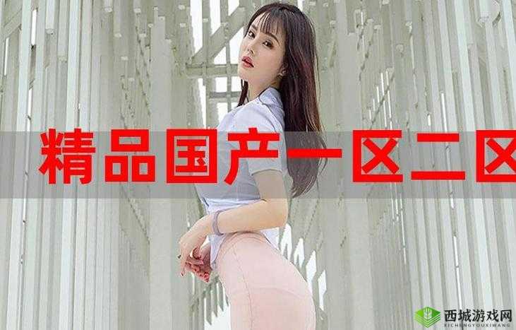 精产国品一二三产区9977：关于其特点及重要意义的探讨