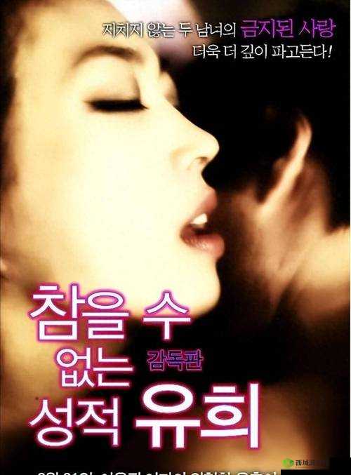成人之间的激情性爱：探索那充满欲望的独特领域