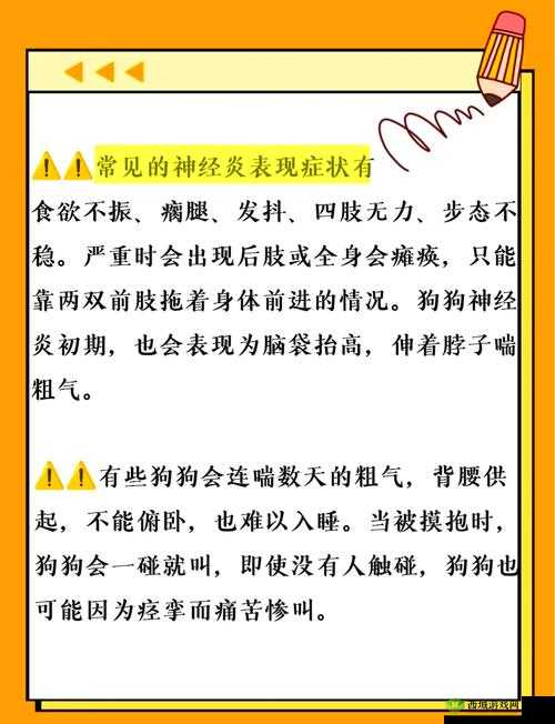 人狗胶配方大全狗狗使用：详细解析与实用指南