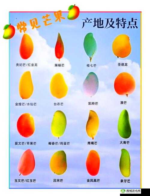 芒果精产国品一二三产区区别：详细分析各产区的特点与差异