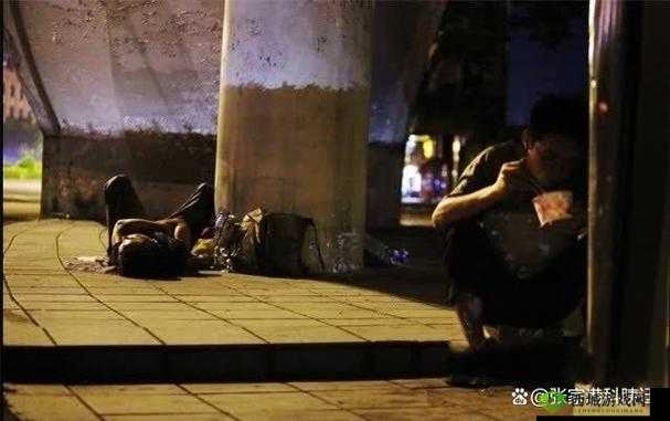 流浪汉把我拉进桥底惊险经历：城市角落里的真实故事与人性思考