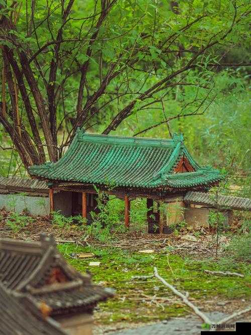 我的侠客京城深处揭秘，探访神秘丐帮总舵的秘密基地