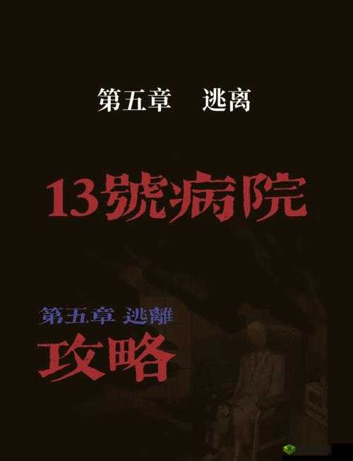 十三号病院全攻略揭秘，各章节通关技巧如何随版本演变而升级？