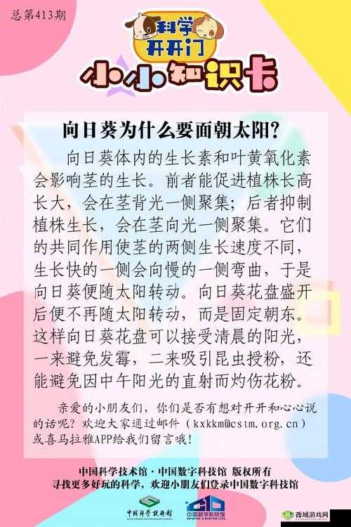 悠长假期如何揭秘向日葵的底层逻辑？操作映射详解引发悬念