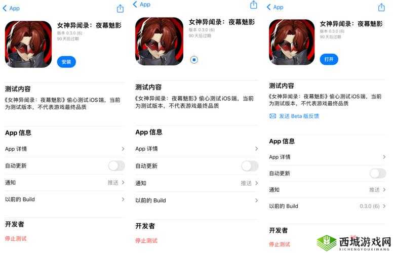 如何获取魅影 ios 安装入口？