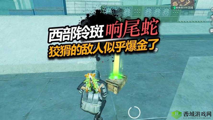 未来风暴中响尾蛇如何玩转？揭秘响尾蛇高级玩法技巧攻略