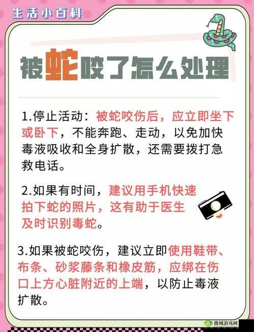 在希望之村游戏中遭遇蛇咬后该如何自救？翻车被蛇咬紧急处理全攻略